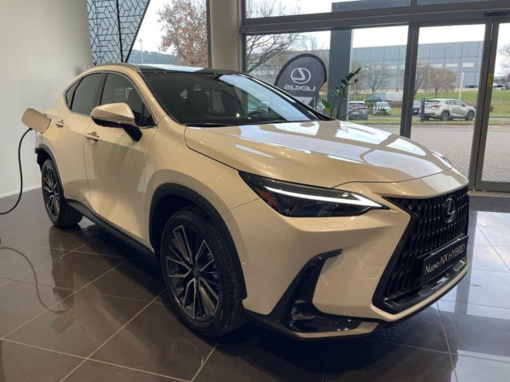 Lexus NX nuova a Perugia (5)