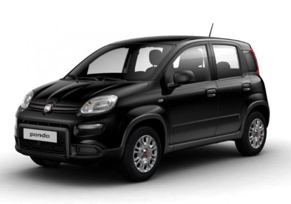 Fiat Panda Cross nuova a Treviso