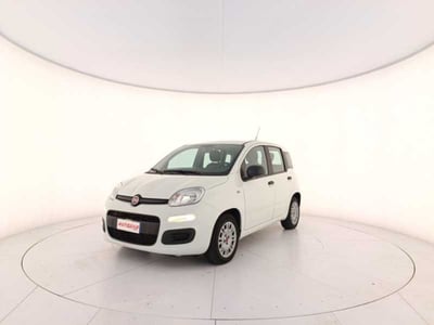 Fiat Panda 1.0 firefly hybrid s&amp;s 70cv 5p.ti del 2022 usata a Treviso