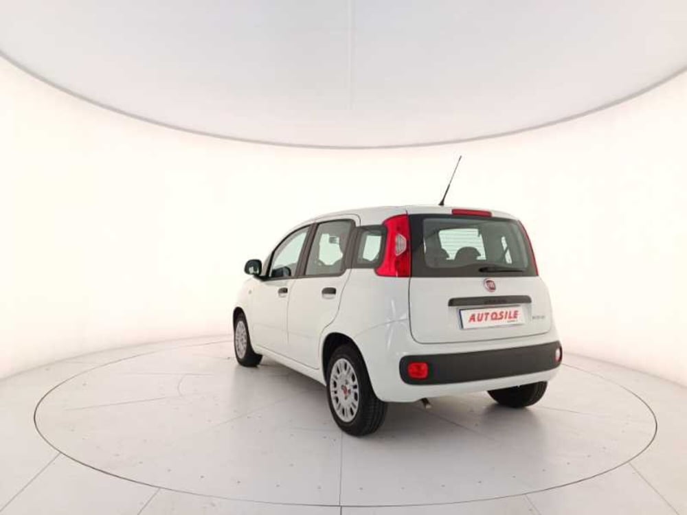 Fiat Panda usata a Treviso (4)