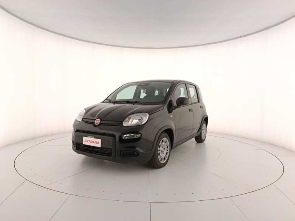 Fiat Panda nuova a Treviso