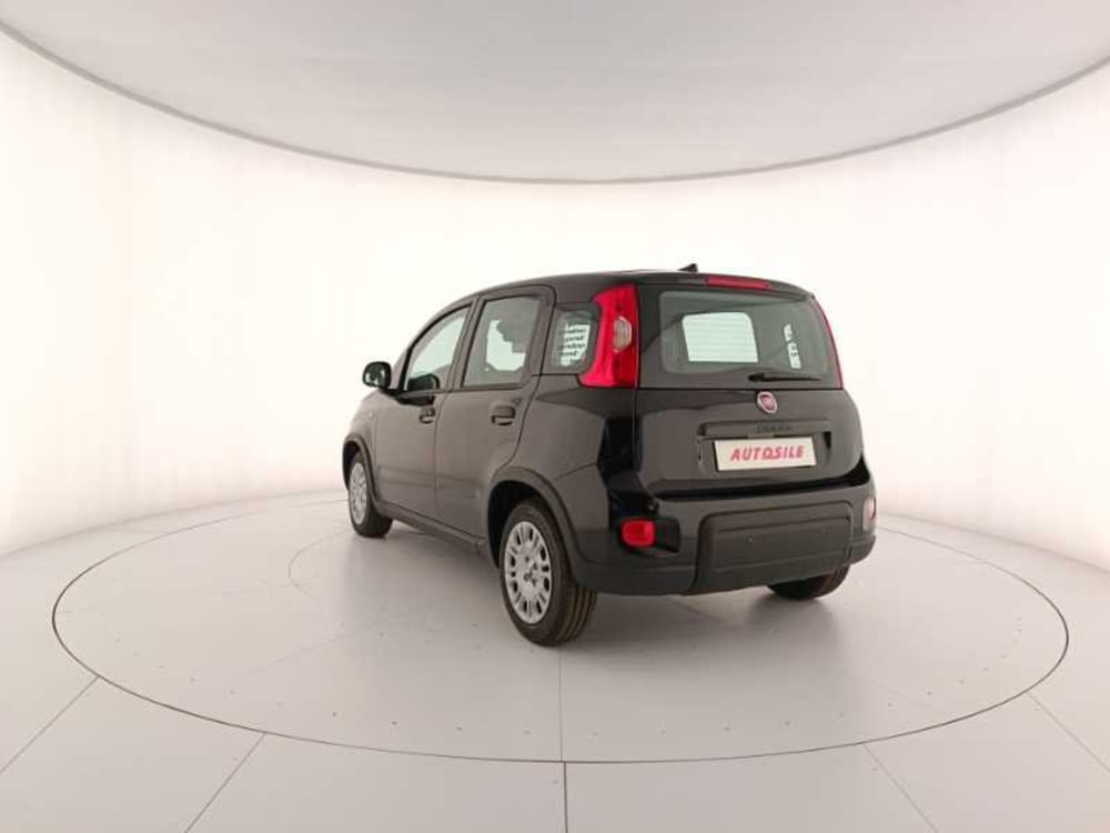 Fiat Panda nuova a Treviso (4)