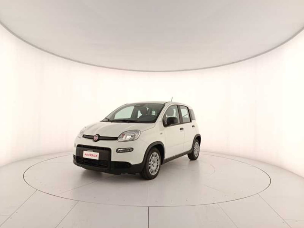 Fiat Panda nuova a Treviso