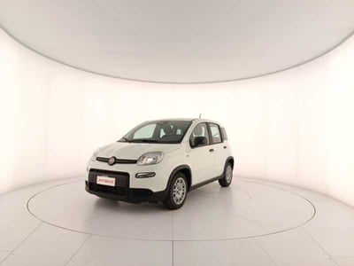 Fiat Panda 1.0 firefly hybrid s&amp;s 70cv 5p.ti nuova a Treviso