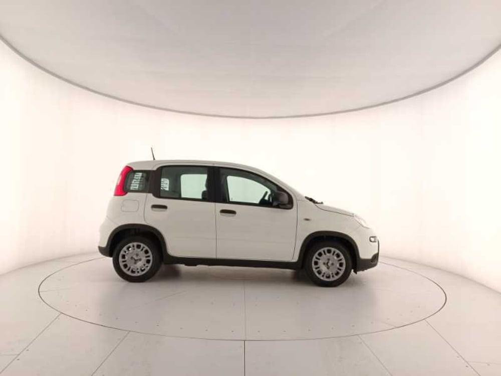 Fiat Panda nuova a Treviso (7)