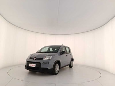 Fiat Panda 1.0 firefly hybrid s&amp;s 70cv 5p.ti del 2023 usata a Treviso