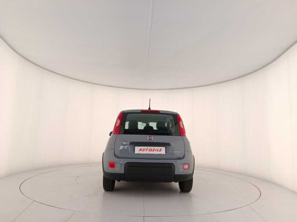 Fiat Panda usata a Treviso (5)