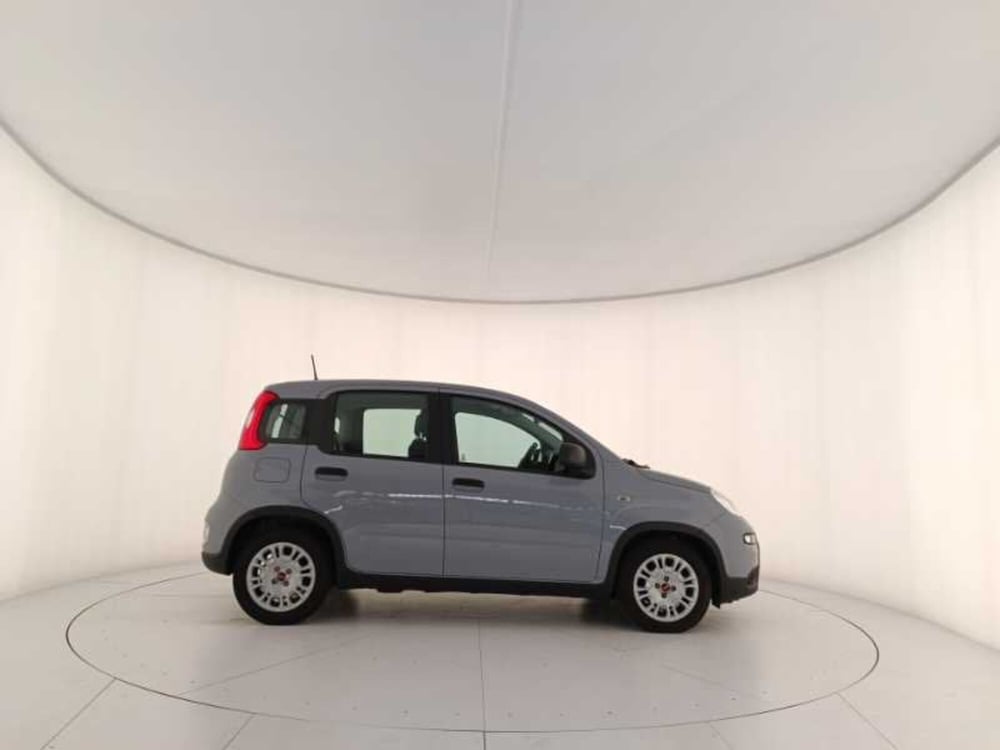 Fiat Panda usata a Treviso (7)