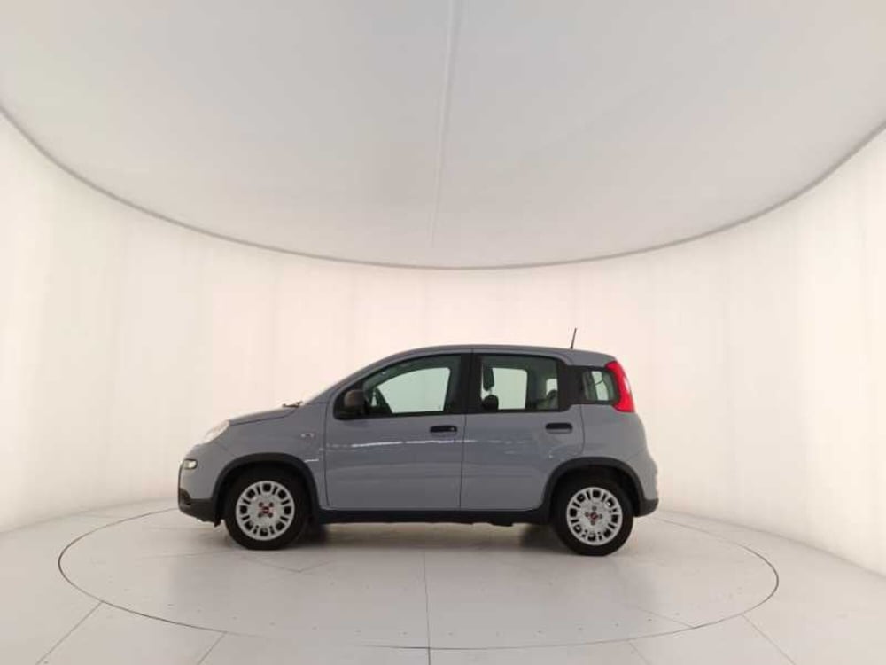 Fiat Panda usata a Treviso (8)