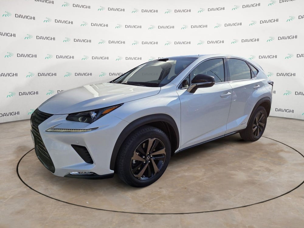 Lexus NX usata a Cremona