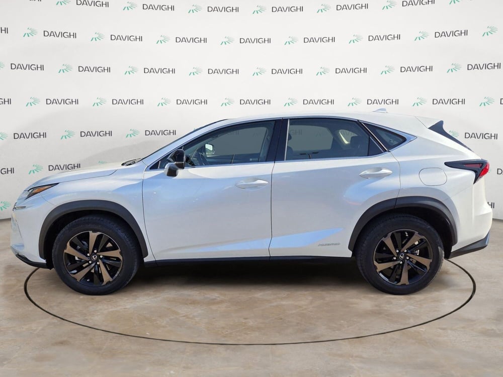 Lexus NX usata a Cremona (2)