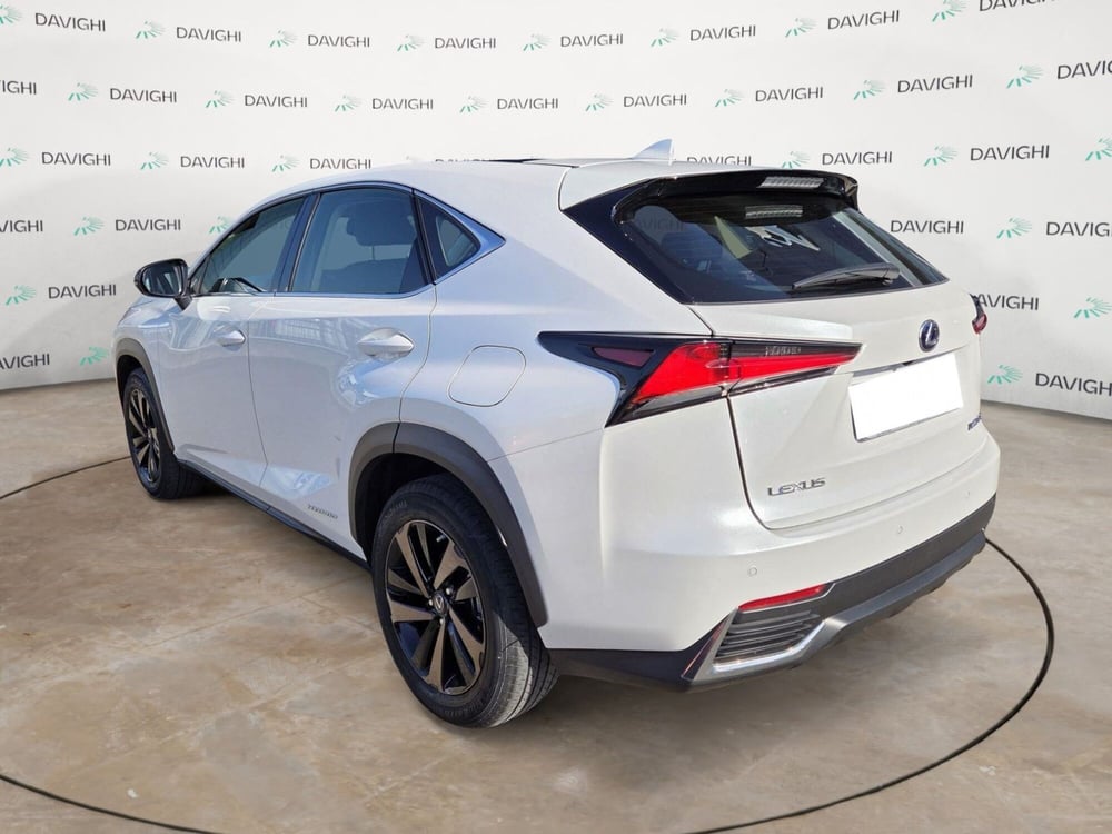 Lexus NX usata a Cremona (3)