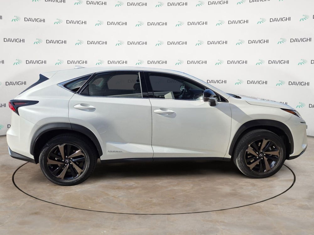 Lexus NX usata a Cremona (6)