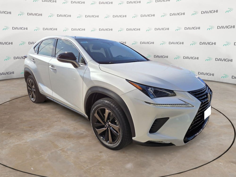 Lexus NX usata a Cremona (7)