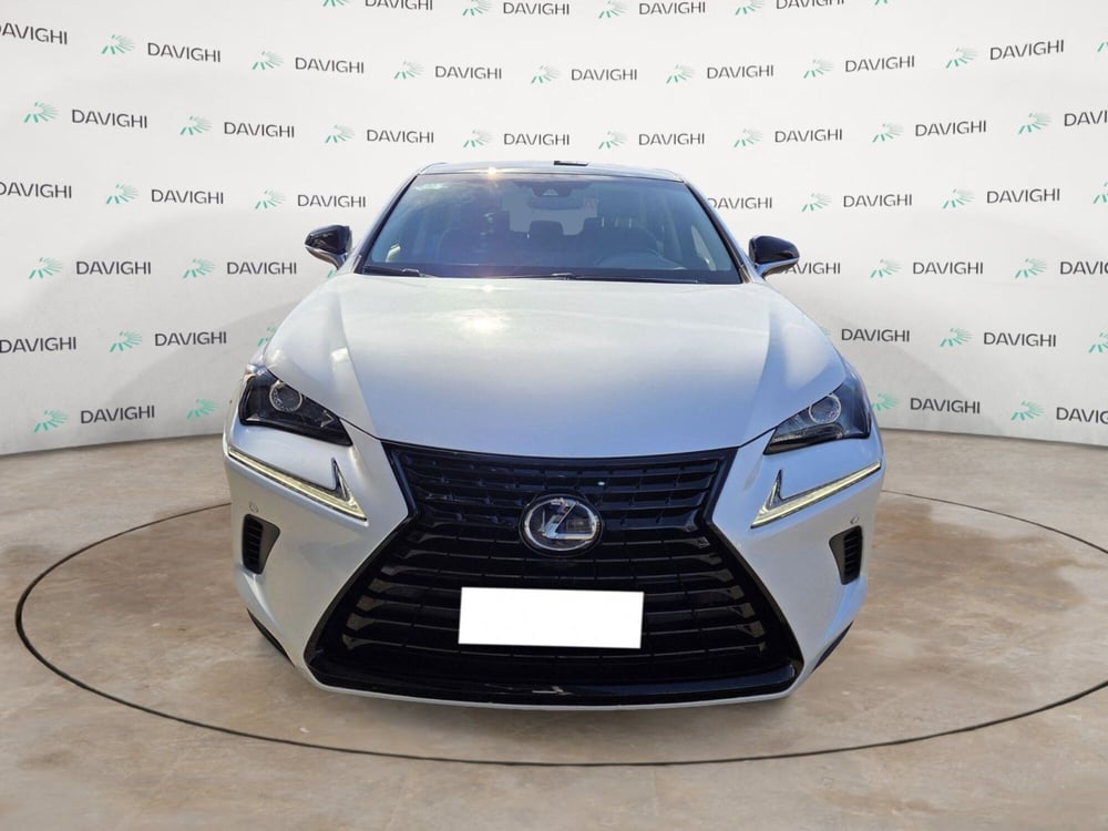 Lexus NX usata a Cremona (8)