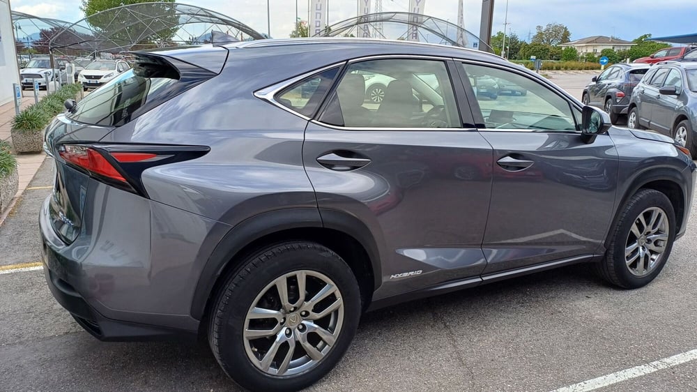 Lexus NX usata a Padova (5)