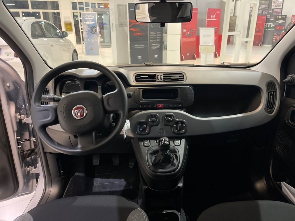 Fiat Panda usata a Frosinone (19)