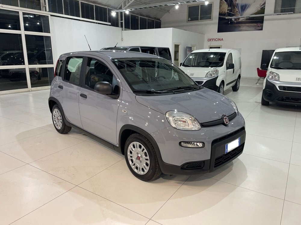 Fiat Panda usata a Frosinone (2)