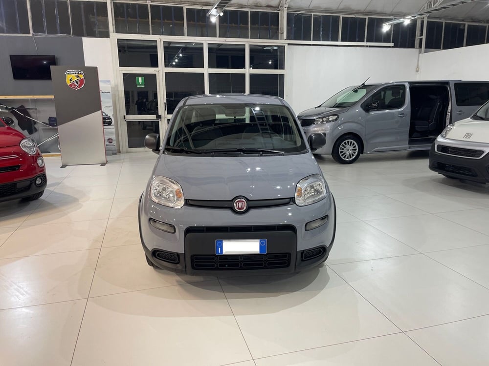 Fiat Panda usata a Frosinone (2)