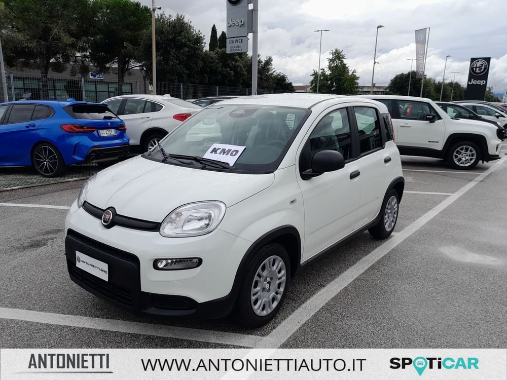 Fiat Panda Cross nuova a Ancona