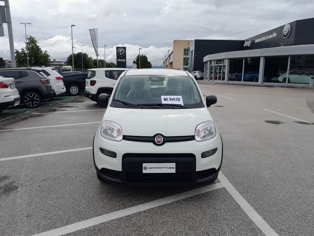 Fiat Panda Cross nuova a Ancona (2)