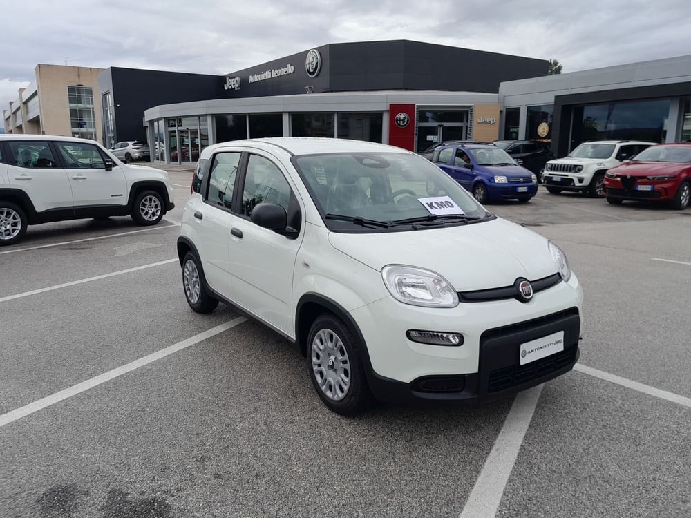 Fiat Panda Cross nuova a Ancona (3)