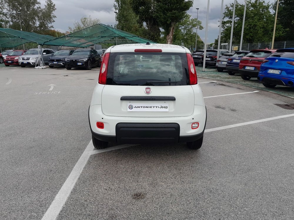 Fiat Panda Cross nuova a Ancona (5)