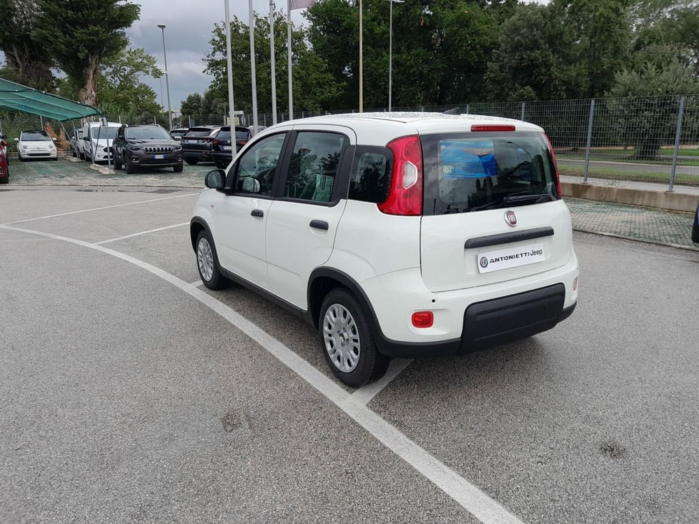 Fiat Panda Cross nuova a Ancona (6)