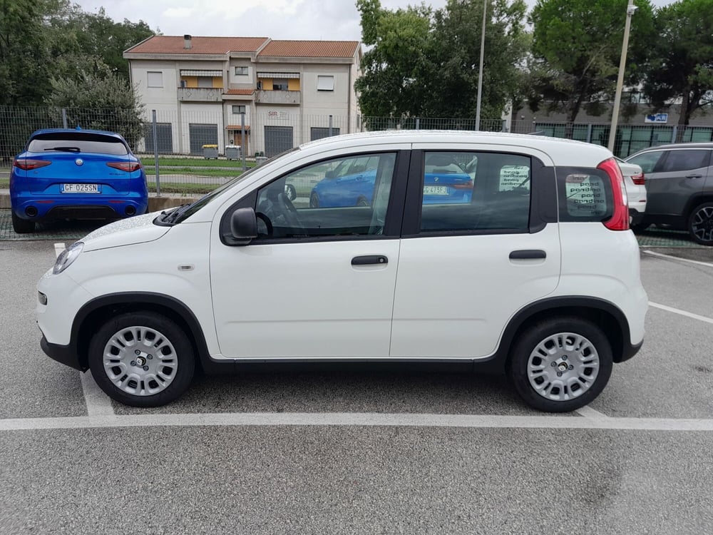 Fiat Panda Cross nuova a Ancona (8)