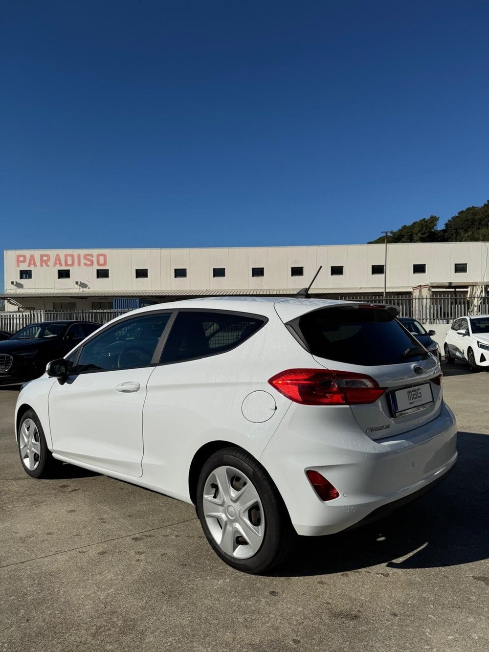 Ford Fiesta usata a Cosenza (7)