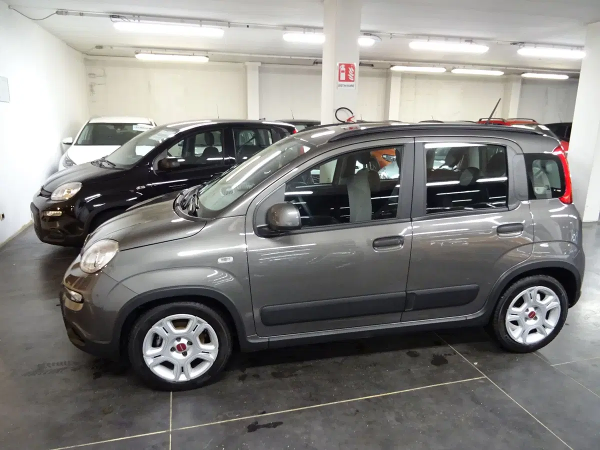 Fiat Panda Cross usata a Lucca (2)
