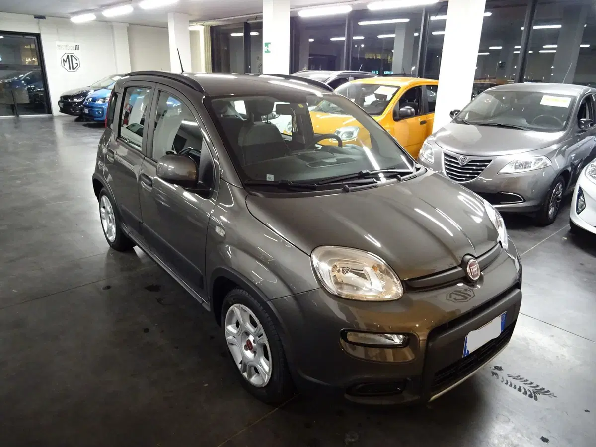 Fiat Panda Cross usata a Lucca (6)