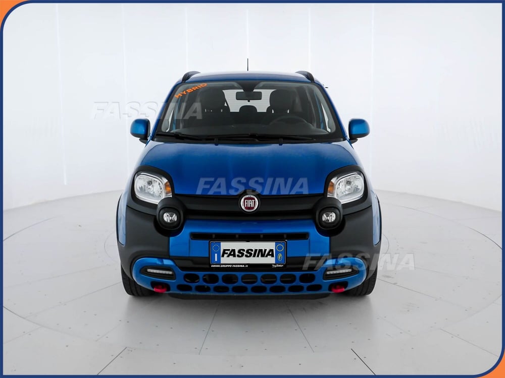 Fiat Panda Cross usata a Milano (2)