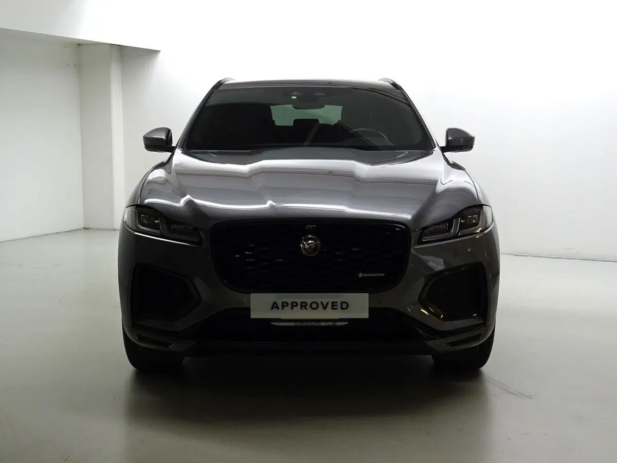 Jaguar F-Pace usata a Como (8)