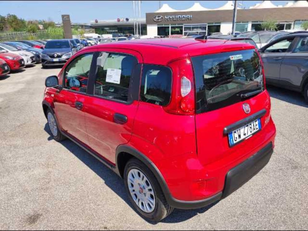 Fiat Panda nuova a Roma (2)