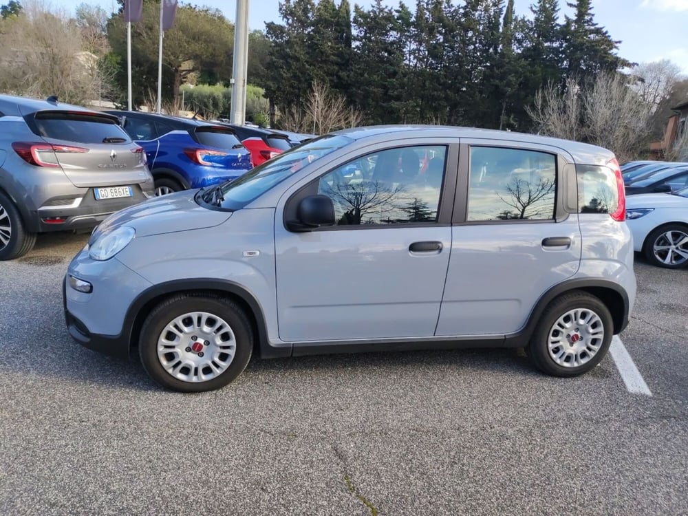 Fiat Panda nuova a Roma (7)