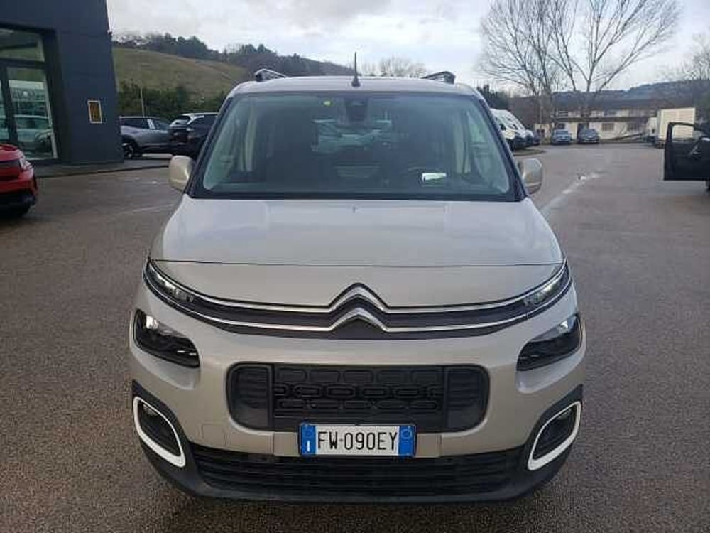 Citroen Berlingo usata a Pesaro-Urbino (2)