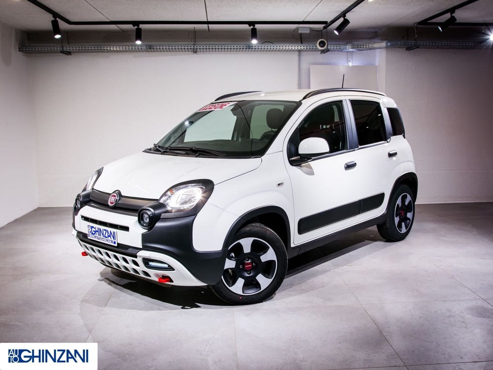 Fiat Panda Cross usata a Bergamo (3)