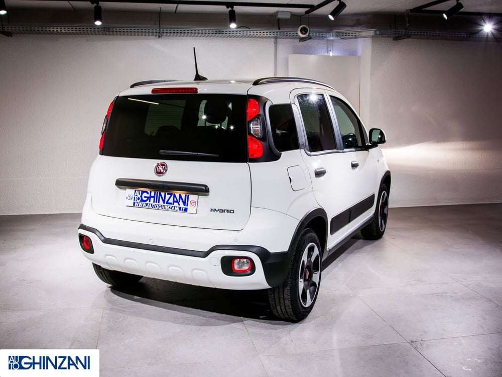 Fiat Panda Cross usata a Bergamo (7)