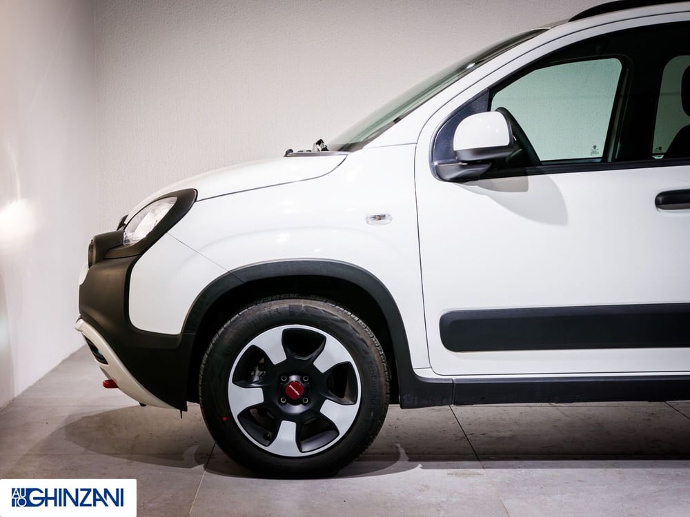 Fiat Panda Cross usata a Bergamo (9)