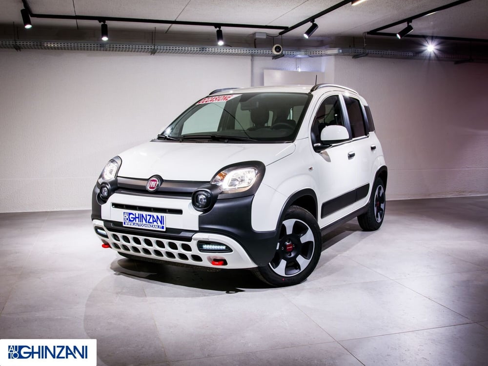 Fiat Panda Cross usata a Bergamo (2)