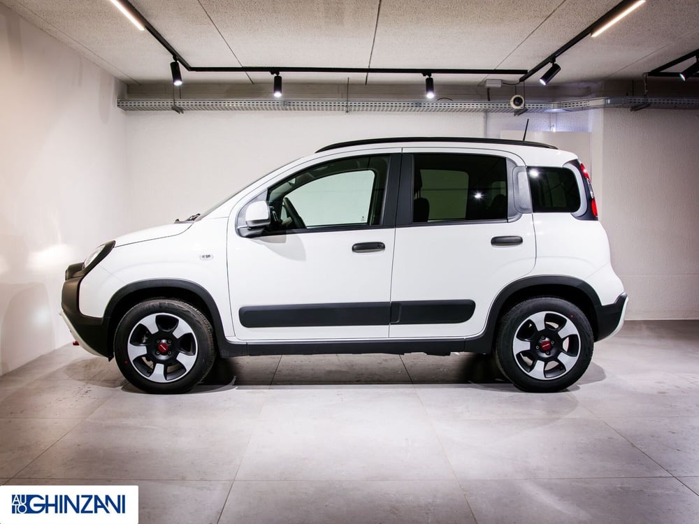 Fiat Panda Cross usata a Bergamo (5)