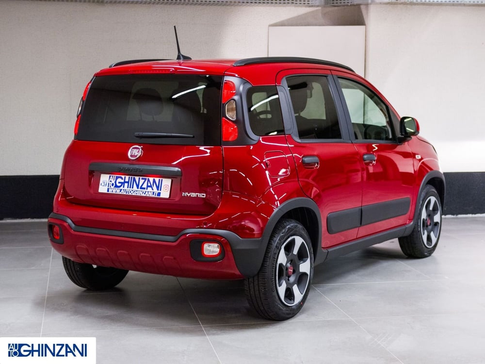 Fiat Panda Cross usata a Bergamo (6)