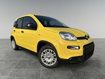 Fiat Panda Cross Cross 1.0 FireFly S&amp;S Hybrid  nuova a Torino