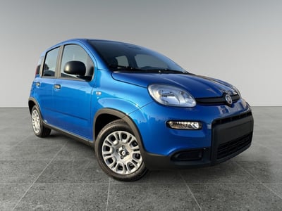 Fiat Panda Cross Cross 1.0 FireFly S&amp;S Hybrid  nuova a Torino