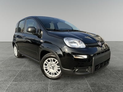 Fiat Panda Cross Cross 1.0 FireFly S&amp;S Hybrid  nuova a Torino