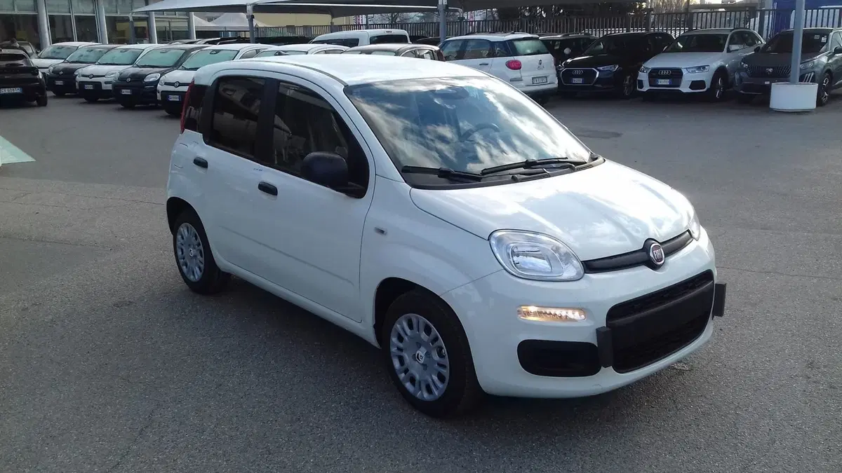 Fiat Panda Cross nuova a Torino