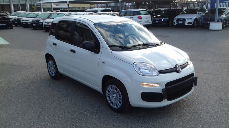 Fiat Panda Cross nuova a Torino