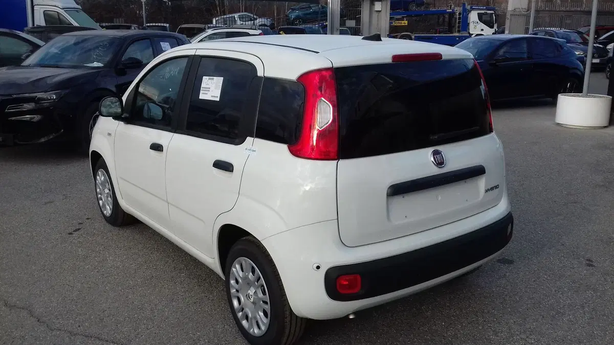 Fiat Panda Cross nuova a Torino (2)