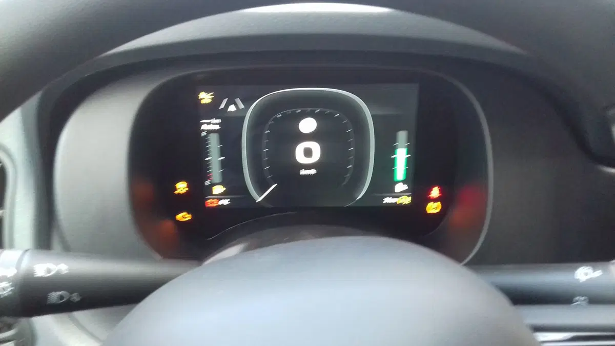 Fiat Panda Cross nuova a Torino (5)